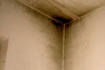 Подскажите, как избавиться от сырости в квартире, от плесени на потолках? BlogStroiki Вопрос - Ответ Мастера