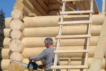 В какое время года лучше всего строить деревянный сруб? BlogStroiki Деревянный дом