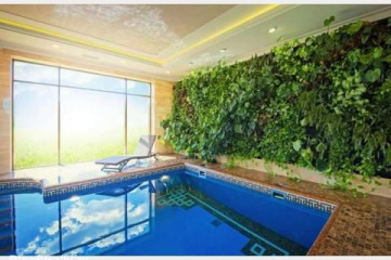 Живая зеленая стена в ванной комнате и не только BlogStroiki Озеленение участка