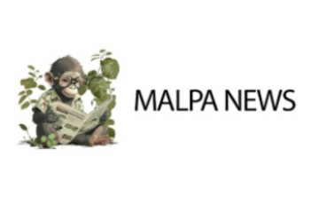 новостной портал Malpa News